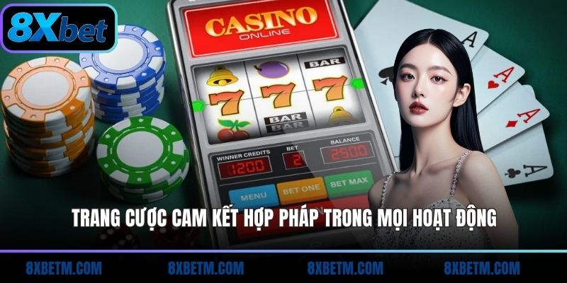 Trang cược cam kết hợp pháp trong mọi hoạt động
