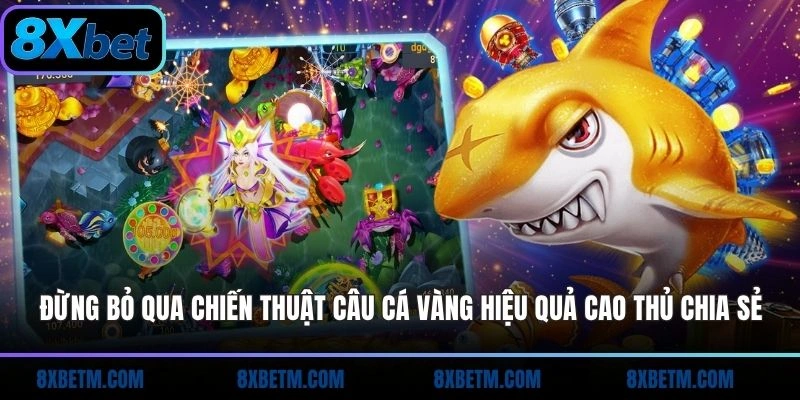 Đừng bỏ qua chiến thuật Câu Cá Vàng 8xbet hiệu quả cao thủ chia sẻ